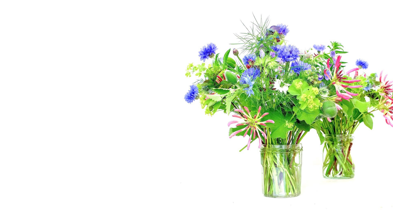 1600x900 TGR Jam Jar Flowers