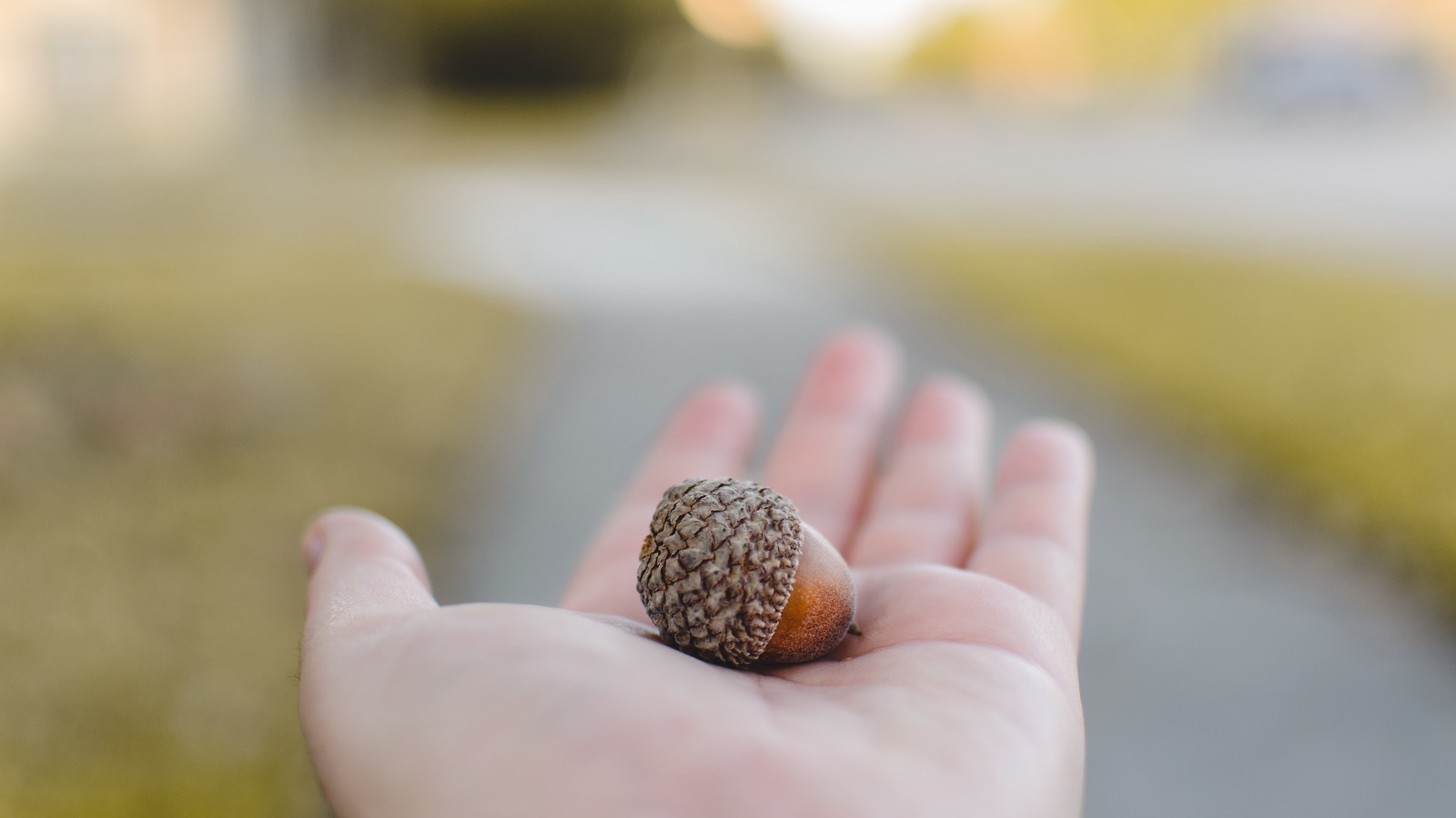 caleb-lucas-tE9ziE9ULaA-unsplash