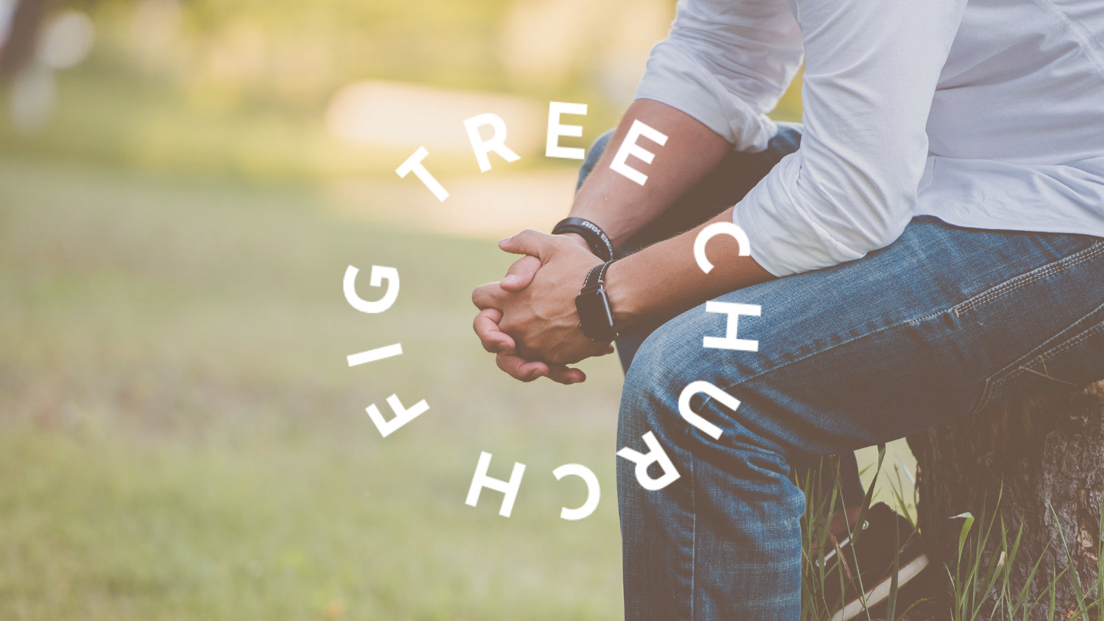 PRAYING FOR FIG TREE