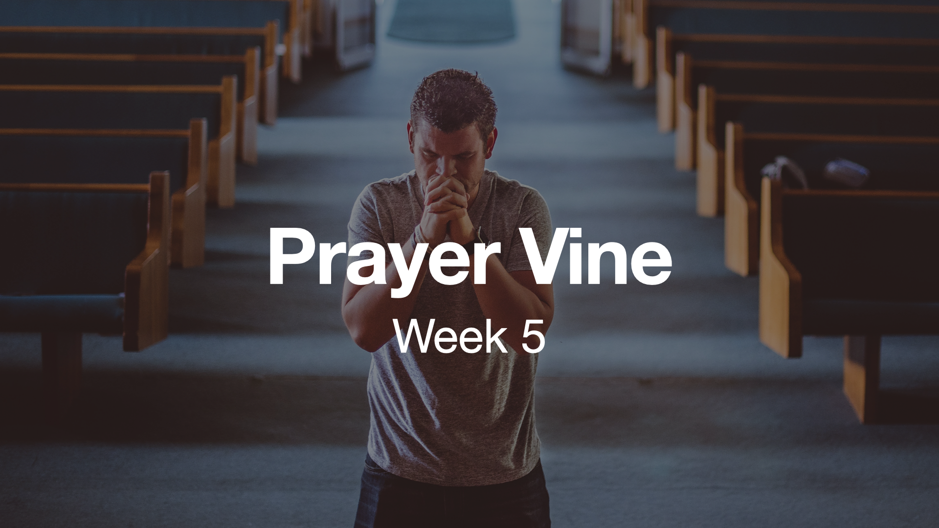 2025 Prayer Vine Weeks.005