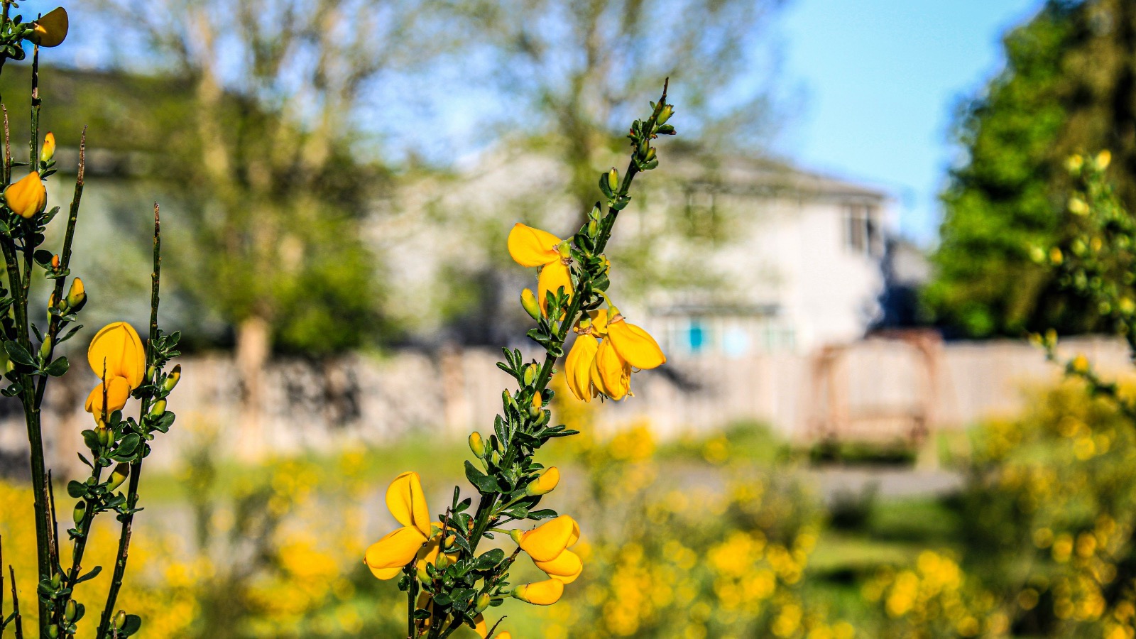 peter-robbins-oGn61jIWhXk-unsp